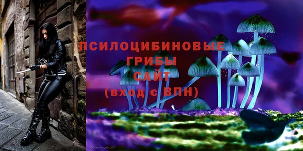 прущая мука Армянск