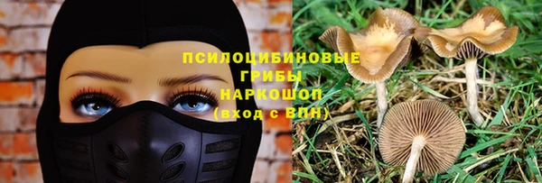 прущая мука Армянск