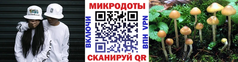Галлюциногенные грибы Cubensis  Опочка 
